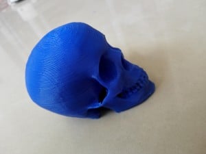 3d printed Skull 1