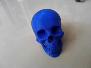 3d printed skull-2