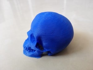 3d printed skull-3