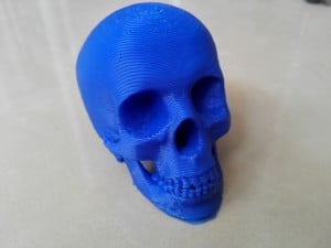 3d printed skull-4
